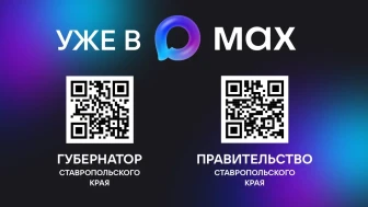 МАХ – это современный инструмент для общения и решения повседневных задач. Это отечественная разработка, которая входит в реестр российского ПО.